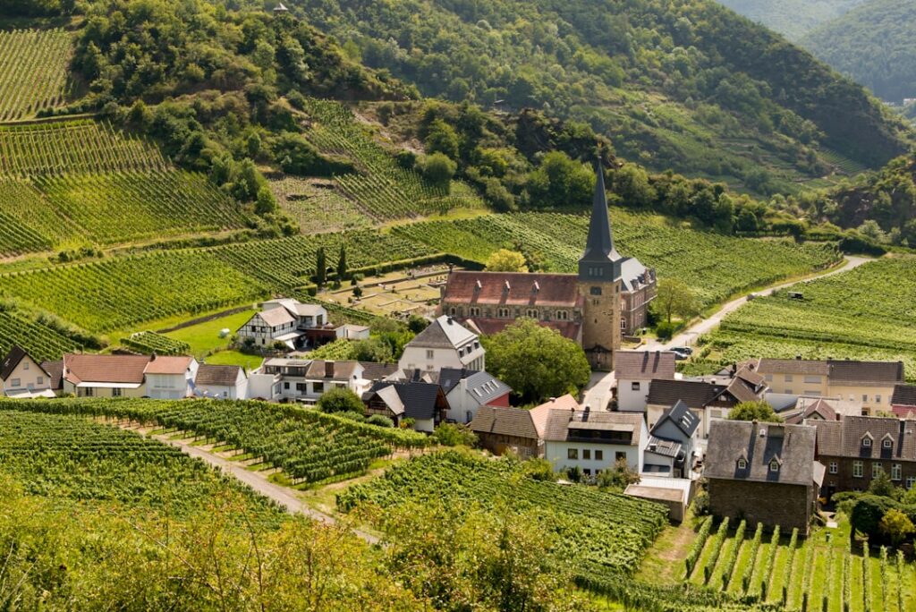 Vineyard village with church steeple nestled in green hills.