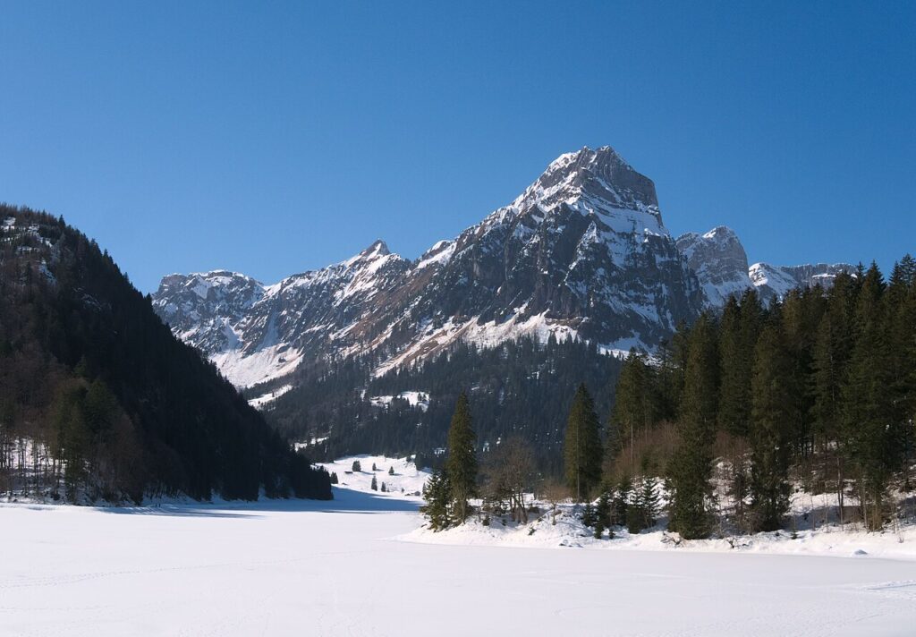 Frozen Obersee Glarus Brünnelistock 20210225.jpg