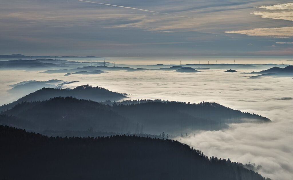 The Black Forest