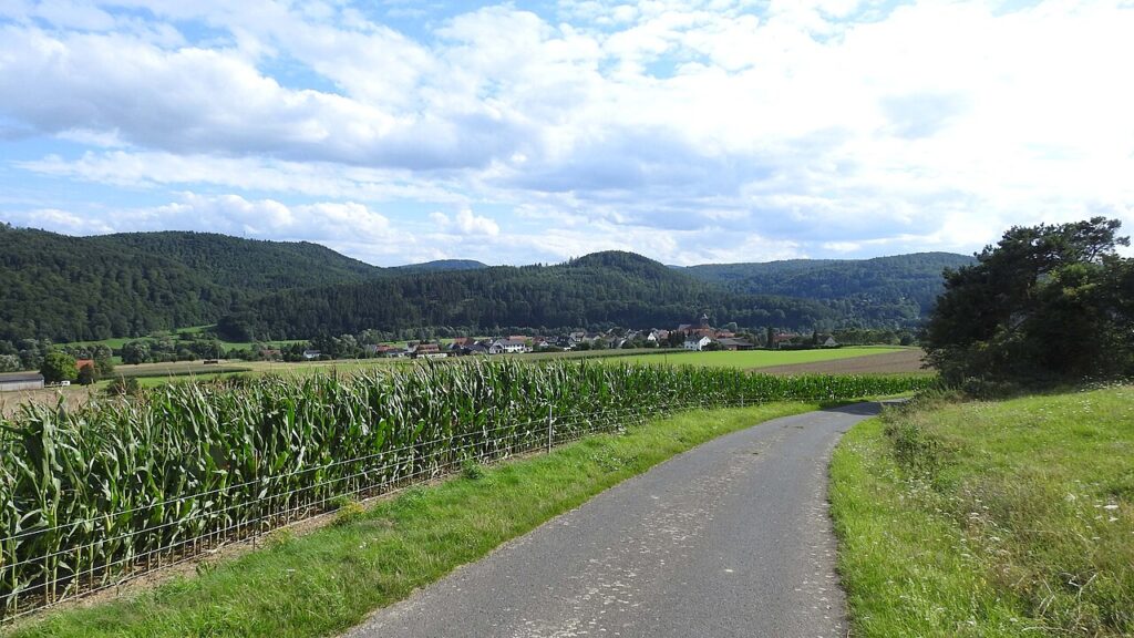 The Mosel Radweg: Cycling Germany's Most Scenic Wine Valley