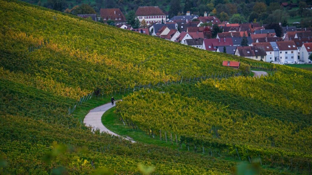 A winding road in the middle of a lush green hillside