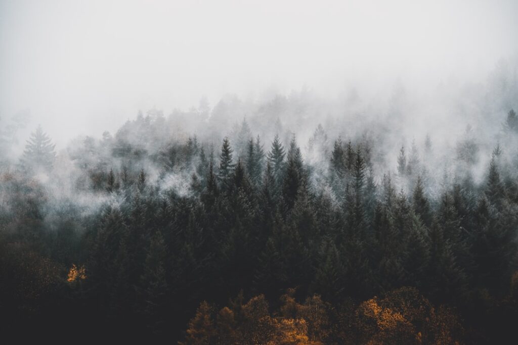 Black Forest Germany