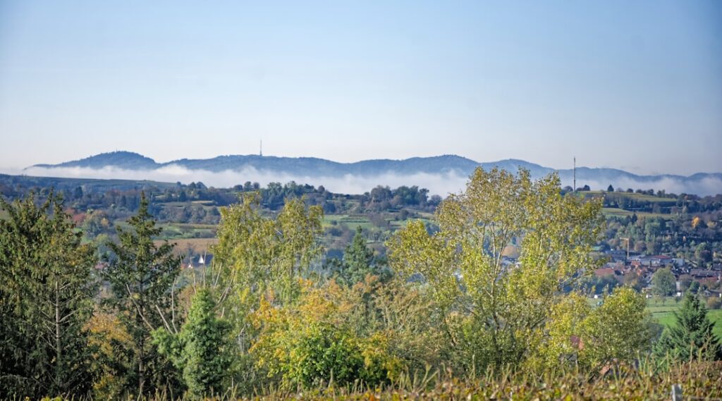Freiburg im Breisgau: The Black Forest's Sunny Gateway