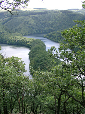 The Eifel National Park: Germany's Wild Western Edge