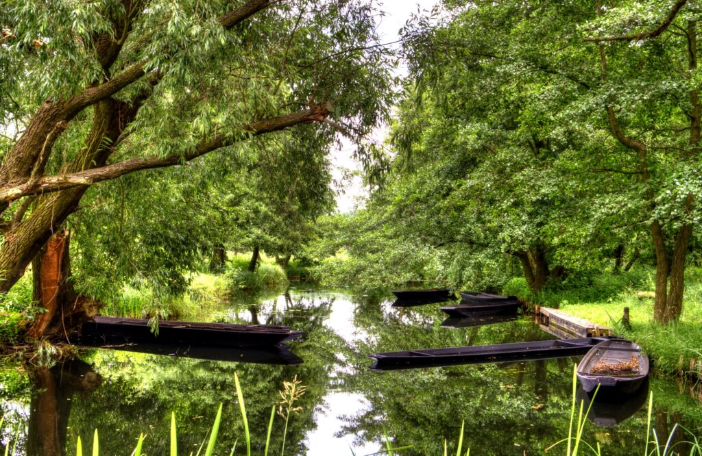 The Spreewald: Paddling Through Brandenburg's Waterways