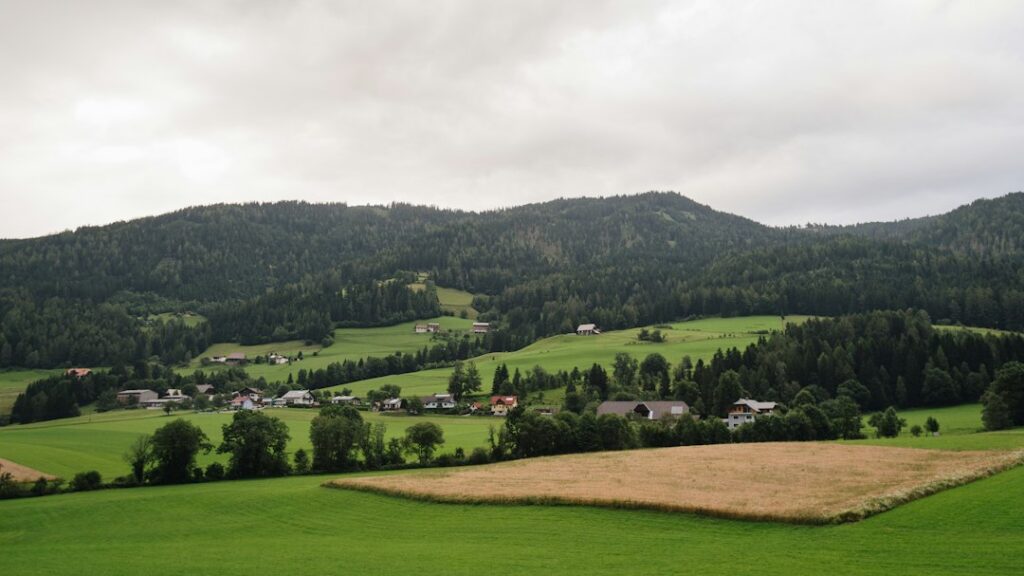 Festivals of the Black Forest: Village Celebrations Worth the Detour