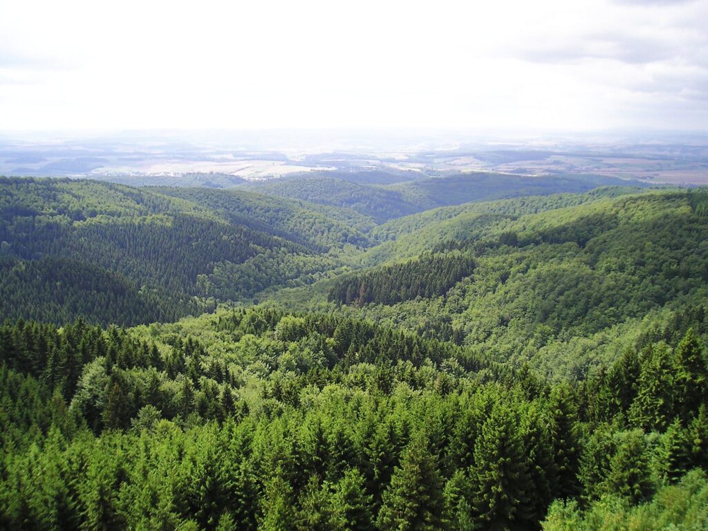 Harz