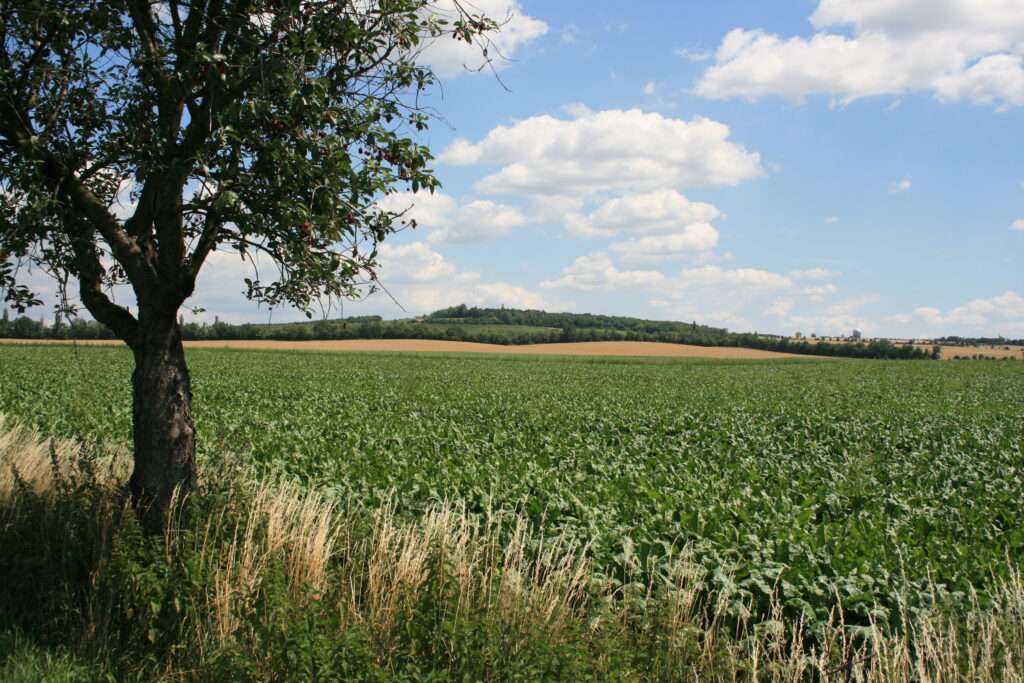 Austerlitz battlefield monument