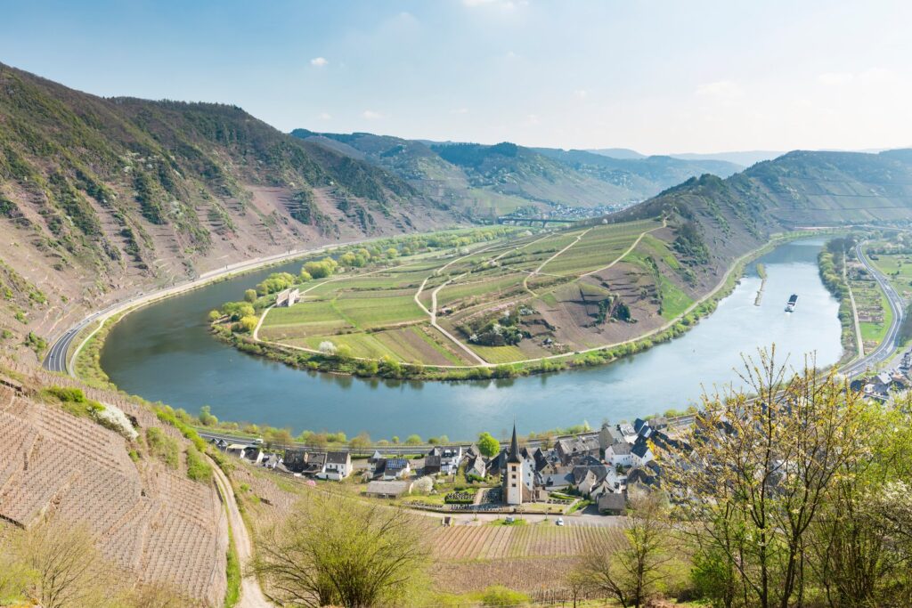 Spring view from the steep Calmont vineyard slopes over the famous horseshoe bend of the Moselle at Bremm. The wine