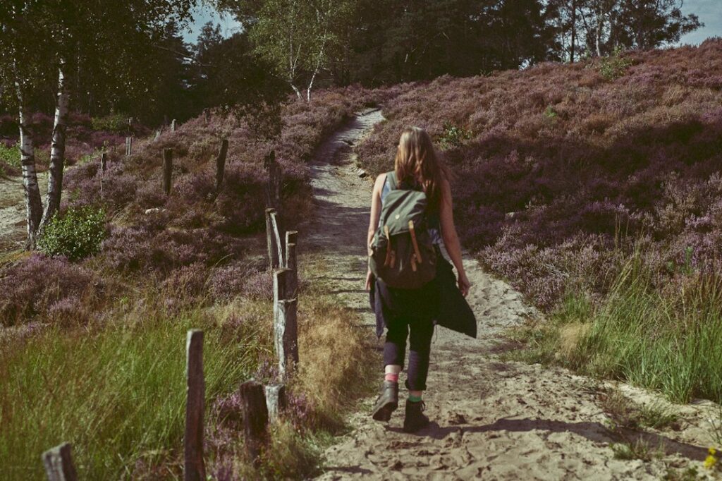The Lüneburger Heide: Walking Germany's Purple Moorlands